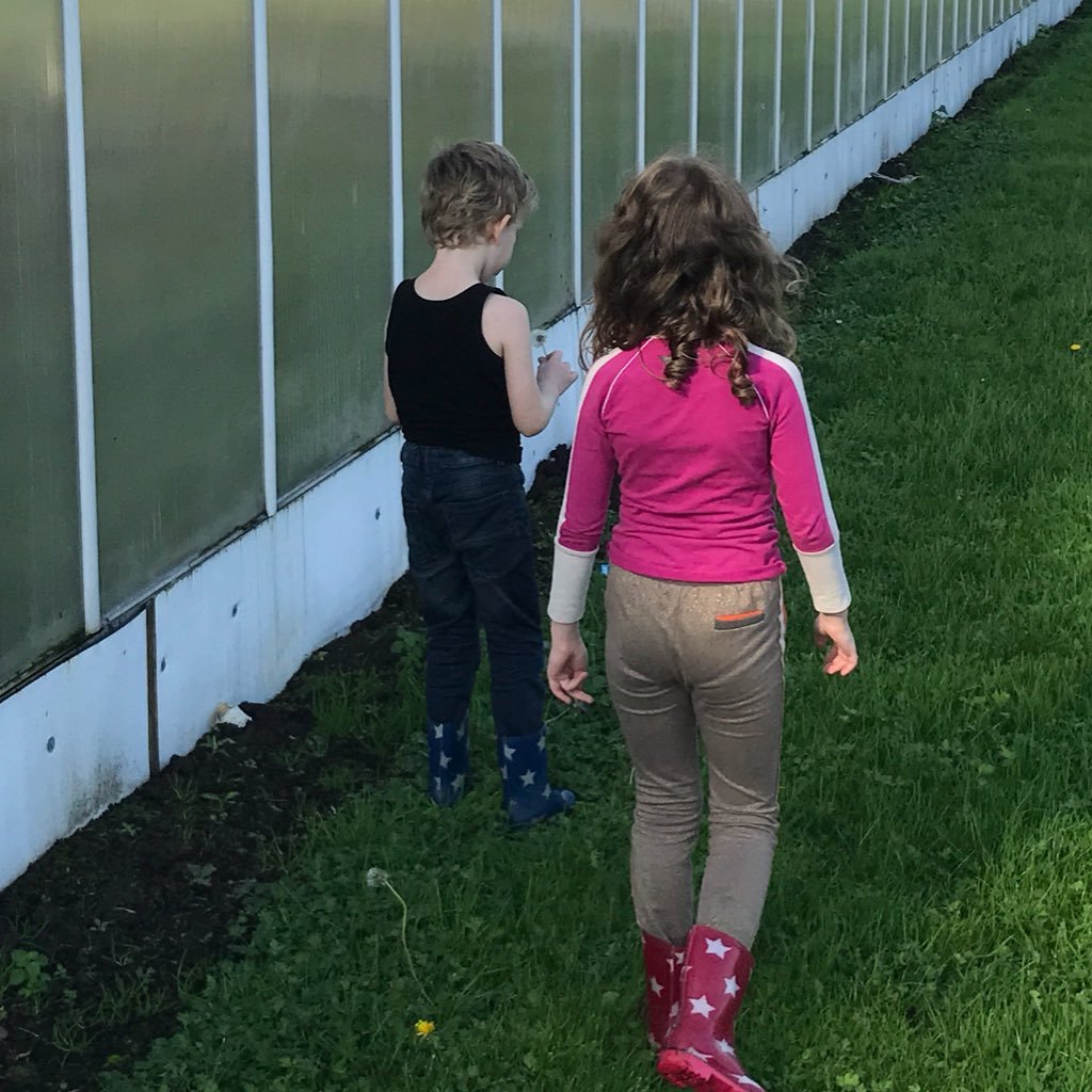 Dries1977's profile picture. komkommerteler uit IJsselmuiden /Getrouwd / vader van Sabine en Jelte