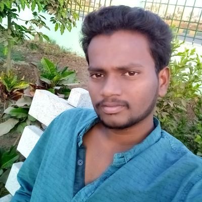 sai_alavalli's profile picture. 