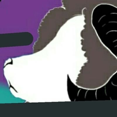 沙恵さんのプロフィール画像