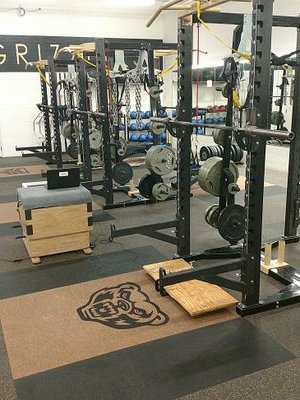 Oakland University. S&C Graduate Assistant and Exercise Science Masters Student looking to improve strength training methods through the use of science.