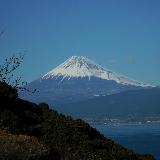 ２００９年１２月に乳がんの温存手術(ラジオ波焼灼法)を受けました。ステージ１、グレード１。２年間の経口抗癌剤の服用、５年間のノルバデックスの服用、計３年間のリュープリン注射、放射線治療もやりました。今は５年が過ぎで経過観察です。ホルモン治療の副作用で抑うつ状態になりました。抗鬱剤を服用しています。