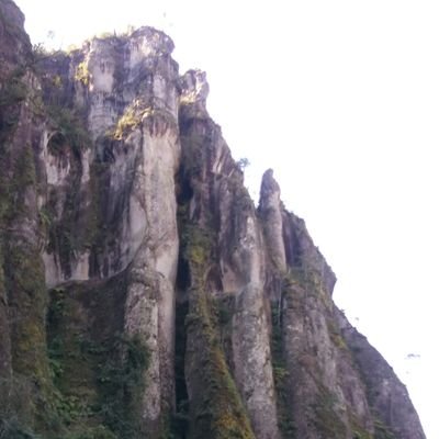 PatinoXochitl's profile picture. 