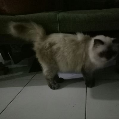 ZKYTN's profile picture. 