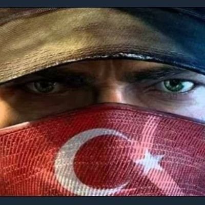 husbilici's profile picture. bilici