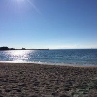 TaQ (@qturn) 's Twitter Profile