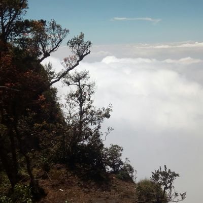 basil_sunny_'s profile picture. 