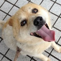 tanpopo_taka (@tanpopotaka2) 's Twitter Profile