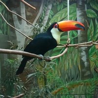 まおすけ (@ufyahqrdkobnuwe) 's Twitter Profile Photo