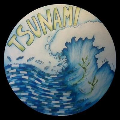 Somos el equipo Tsunami de la FLL Hydrodynamics 2018/ We are the team Tsunami from FLL Hydrodynamics 2018