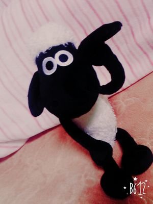 Kash0zlb's profile picture. 組み込みエンジニア
blueskyも@kash0zlb