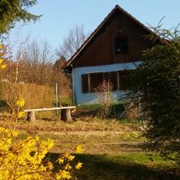 Bertihof 🐦 (@bertih0f) 's Twitter Profile