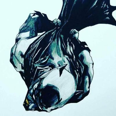 SaizuAdrian's profile picture. 