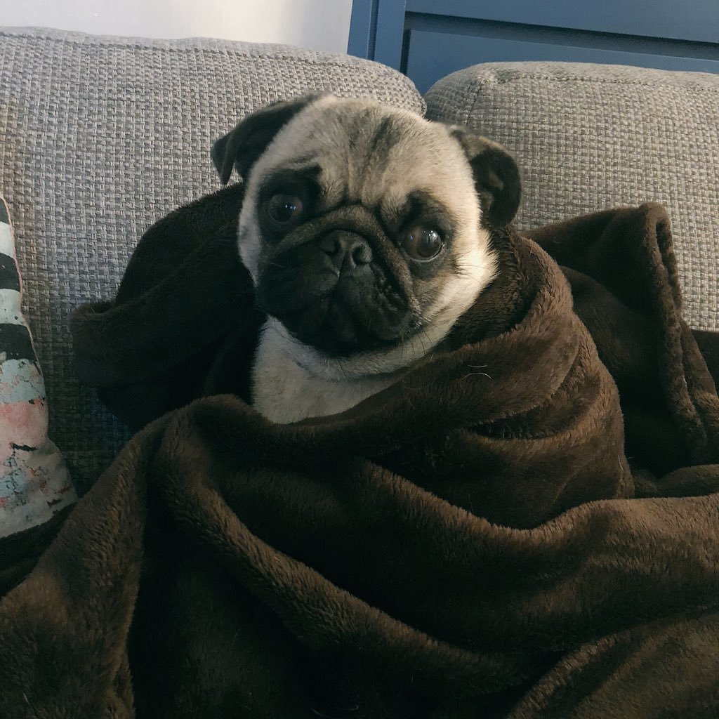 Hightoughtsmx's profile picture. High poets