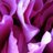 al_asela_44's profile image