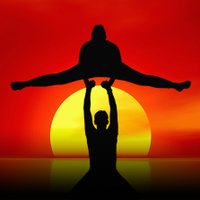 Il VolteggioEquestre (@volteggioequest) 's Twitter Profile