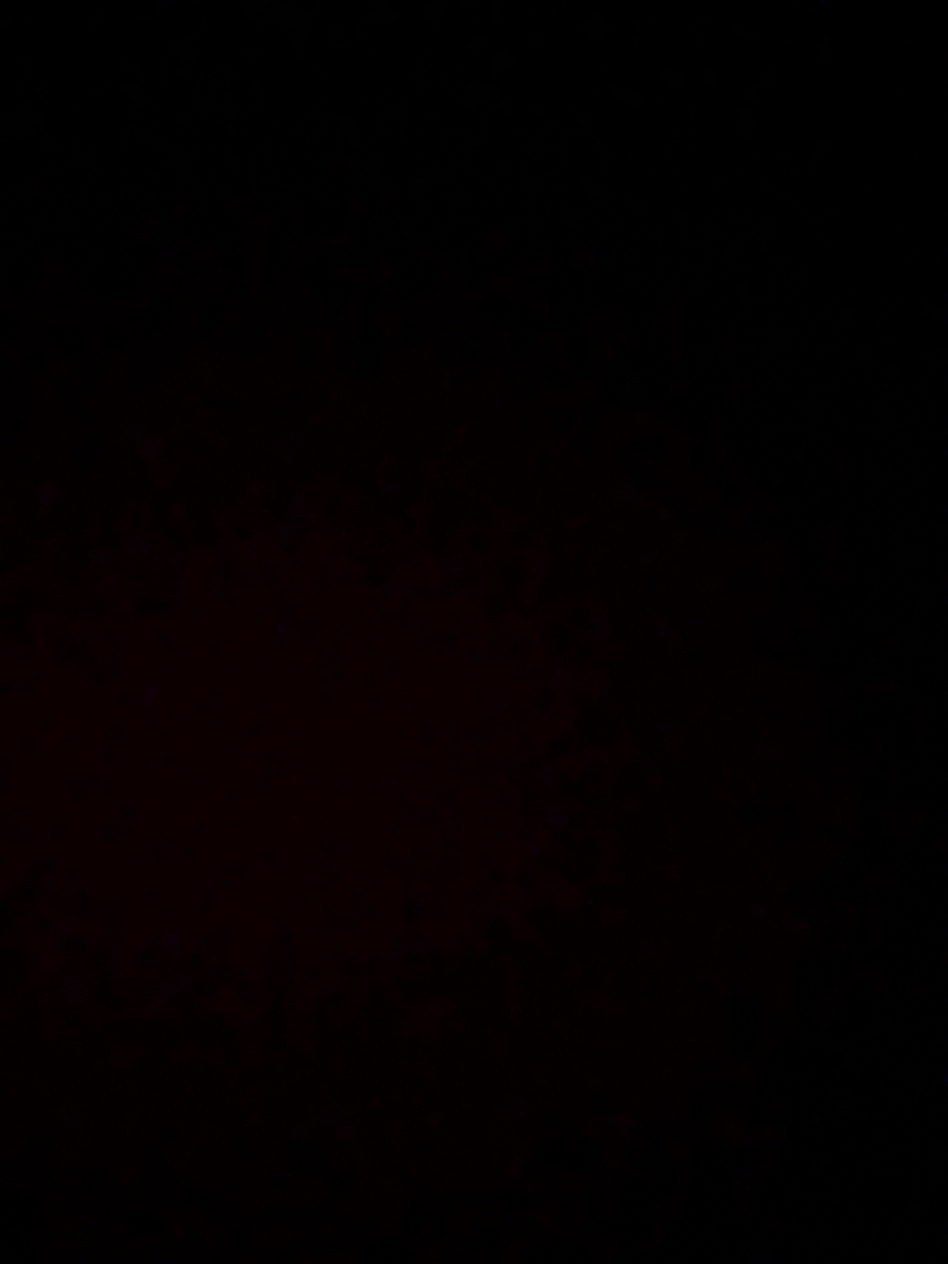 xIsabellee4's profile picture. ♥♥♥