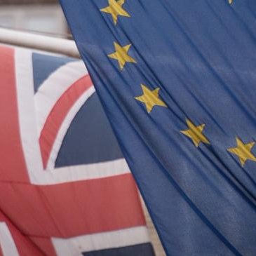 Brexit has to be stopped, no sane person would go through with the disaster that is brexit. PM May is a danger to the UK, the lunatic must be stopped.