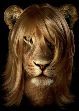 MarkoErceg's profile picture. 