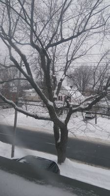 AlexCousineau2's profile picture. I love to have a good time on Twitter, I love all posts And I hope you can help me with follows, my goal is 100+ follow's. I hope you have a good day 😃😃😊