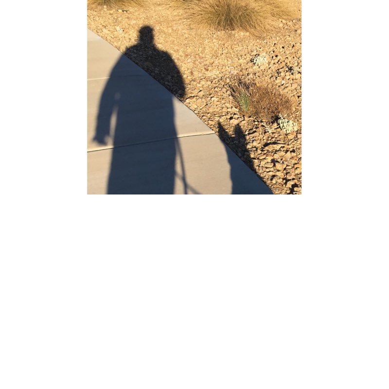 rrdiversions's profile picture. Twins fan making and sharing insights for fun