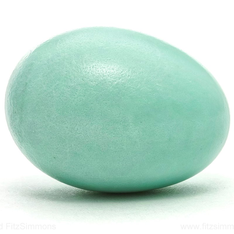 whipsmith's profile picture. 