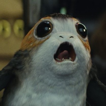 bellezza_od's profile picture. Founder https://t.co/a6mMc5Dfmb and https://t.co/rsCa6588bh dedicated to the most amazing actor on this planet: JAMES NORTON