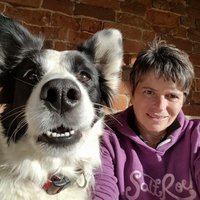 TB(@mybordercollie) 's Twitter Profile Photo