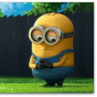 Cilla Shaw (@cillashaw) 's Twitter Profile