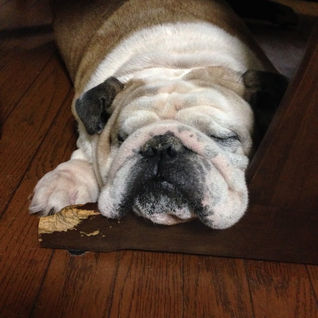 takamin57's profile picture. 