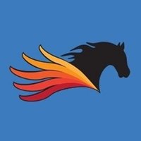 Pegasus Technologies(@PegasusTechs) 's Twitter Profile Photo