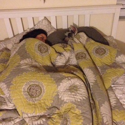 Michelle K Walsh Michellewalsh Twitter