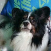 実紀 (@akb2315) 's Twitter Profile