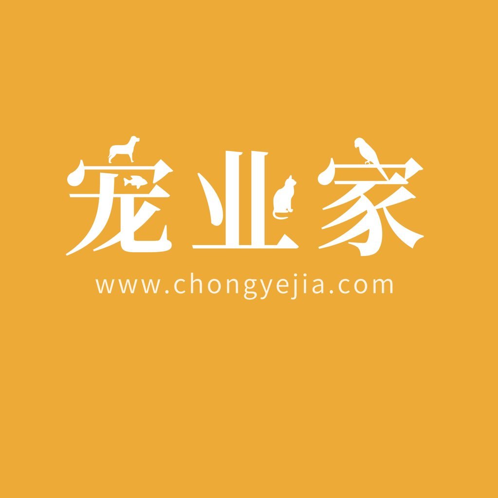 chongyejia's profile picture. pet industry in China
