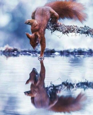 seabstin's profile picture. 