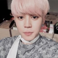 jikookrosesz's profile picture. ❀ vim aqui pedir para você dar uma olhada na minha fic jikook. o link vai estar no fixado. espero que vocês gostem ♡ ❀