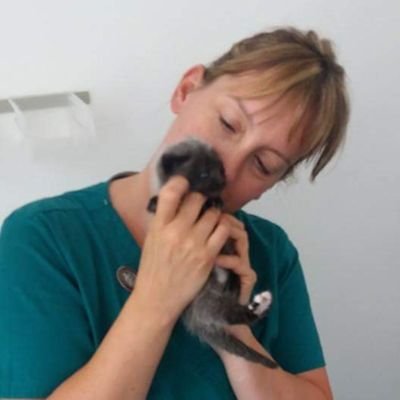 MobileVet_Nurse's profile picture. The Mobile Veterinary Nurse offers services in the Bury and Bolton area for dogs, cats and rabbits.