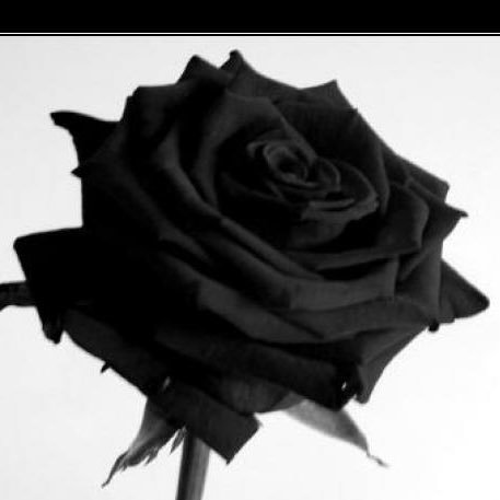 LearningToTeac2's profile picture. Sigo mi camino, no es el camino ya marcado por otros, pero si que aprendo algo de ellos.