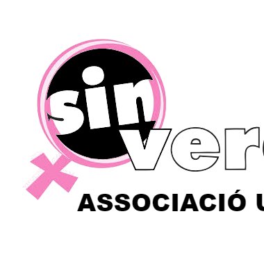 Comissió de Gènere i Feminismes de l'Associació Universitària LGBT+ Sin Vergüenza @sinvers  contacte: gdgenere@sinver.org