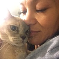 ❤️AngelBabyCat❤️(@babycatnfriends) 's Twitter Profile Photo