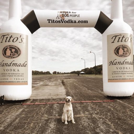 Paws for a Cause 5K benefits local animal welfare charities across the country. Events are sponsored by Tito's Handmade Vodka.