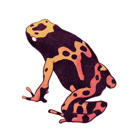 RS_Baot's profile picture. Software engineer.