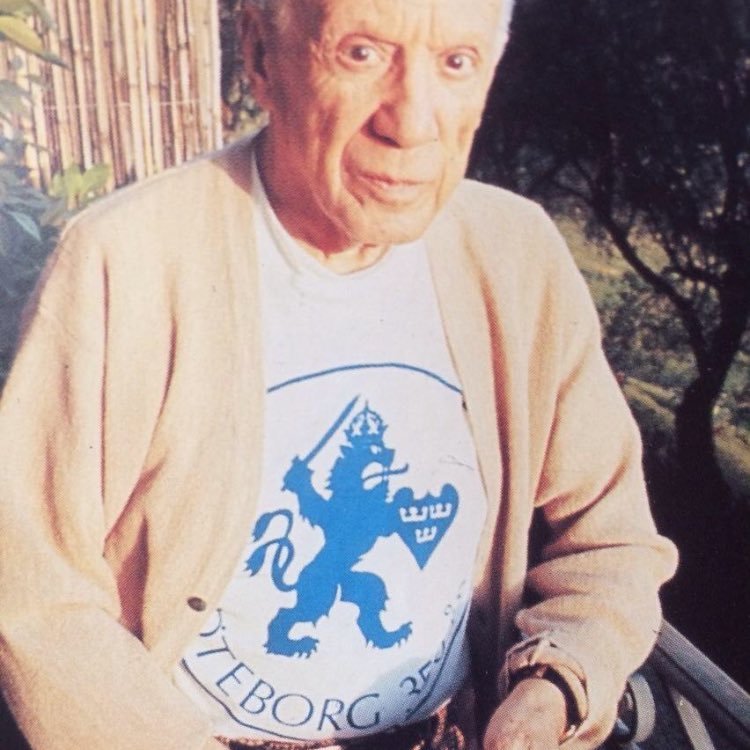 Picasso i GBG-tröja 🍺 Profile