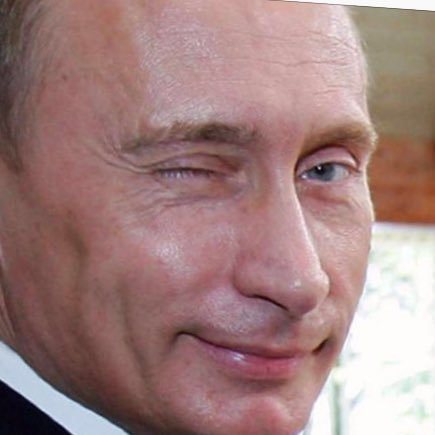 Notarussianbo16's profile picture. I seriously have nothing to do with Russia or Putin. Believe me. #MAGA