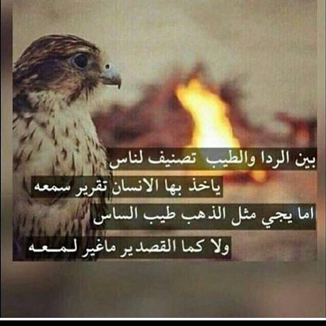 دنيتي صعبه بدونك
