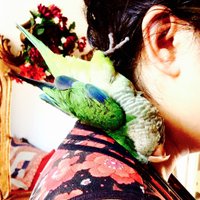 Katharine Ainger (@katainger) 's Twitter Profile Photo