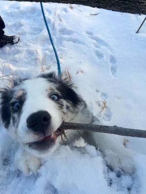 jenifer2676's profile picture. Diversão e Memes Diversão e Memes Diversão e Memes Diversão e Memes