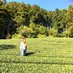akane_japanesetea (@ajapanesetea) Twitter profile photo akane_japanesetea (@ajapanesetea) Twitter profile photo