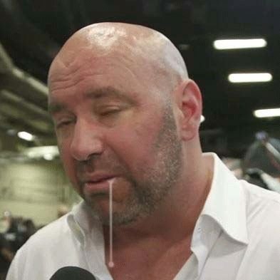 not dana white kingdomofmass twitter
