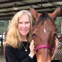 Cindy Ivanhoe (@cbivanhoe) 's Twitter Profile