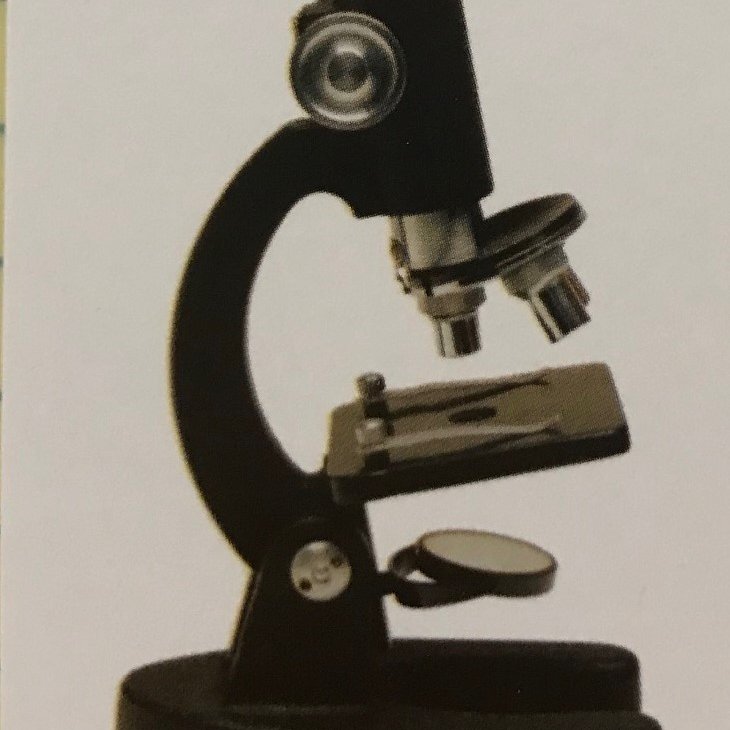 SusanSilverMD's profile picture. Mom, advocate for child sexual abuse survivors, physician, passionate about truth and justice.  'Think Globally - Act Microscopically'.  GAGGED FOR LIFE!